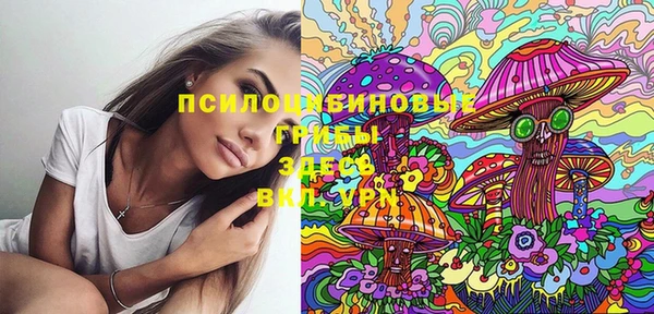 мдпв Абинск
