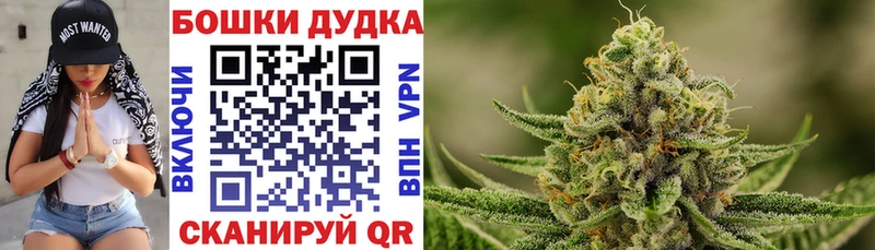 kraken зеркало  Мегион  Конопля ГИДРОПОН 
